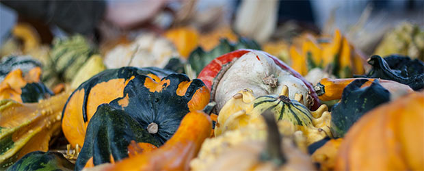 bunte Kürbisse beim Herbstzauber in Veitsbronn OT Raindorf