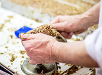 Rohe Lebkuchenmasse wird in einen Lebkuchen von Düll geformt
