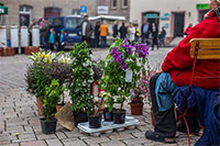 regionalmarkt-langenzenn-15
