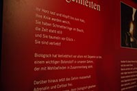 koerperwelten-ausstellung-nuernberg-32
