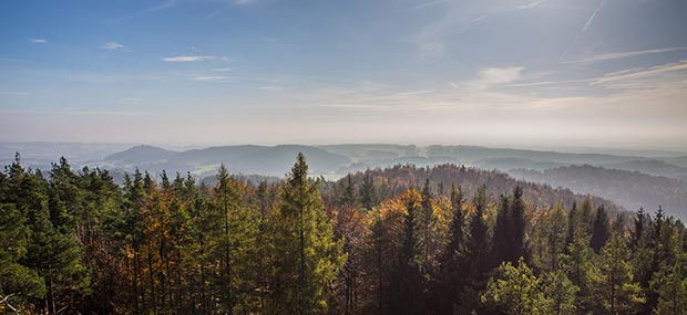 Herbstwald Fränkische Schweiz