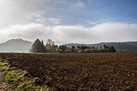 rundwanderweg-pegnitz-kleiner-kulm-03
