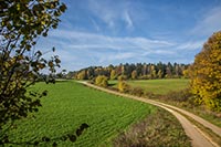 rundwanderweg-pegnitz-kleiner-kulm-07
