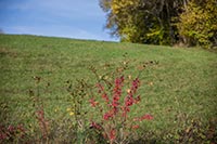 rundwanderweg-pegnitz-kleiner-kulm-08
