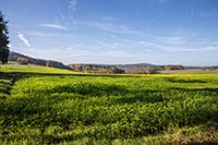 rundwanderweg-pegnitz-kleiner-kulm-15
