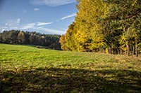 rundwanderweg-pegnitz-kleiner-kulm-19
