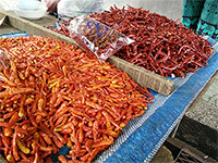 streetfood-thailand-phuket-impression-26
