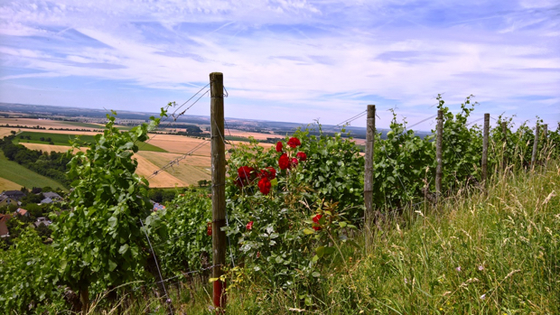 Wanderung Castell